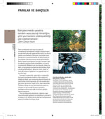 Peyzaj Mimarlığının Temelleri