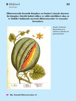 Görsel İllüstrasyon Sözlüğü