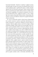 Çağdaş Sanat Nedir?