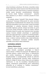 Mimarlık Alanında Uluslararası Araştırmalar III