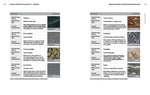 Natural Stone Guide for Architects