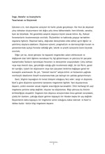 Kent Metaforları Morphologie