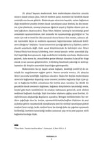 Mekansallık: Sanat Üretiminde Eşzamanlılık Durumu