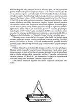 Güzelliğin Analizi