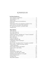 Dada Manifestoları ve Diğer Metinler