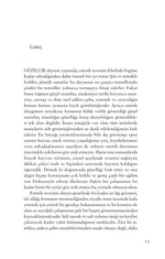 Güzelliğin Felsefesi