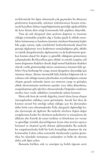 Güzelliğin Felsefesi