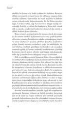 Güzelliğin Felsefesi