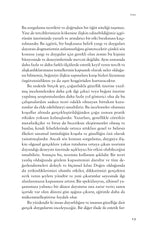 Güzelliğin Felsefesi