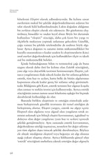 Güzelliğin Felsefesi