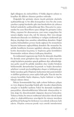 Güzelliğin Felsefesi