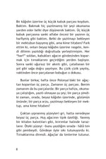 Kabuklar