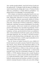 Katı Olan Her Şey Buharlaşıyor - Modernite Deneyimi