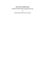 KENTSEL MORFOLOJİ: Kentlerin Fiziksel Biçimi Çalışmalarına Giriş