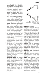 Mimarlık Cep Sözlüğü