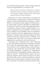 Modern Kültürde Çatışma