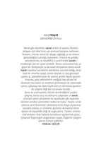 Sanat Emeği - Kültür İşçileri ve Prekarite