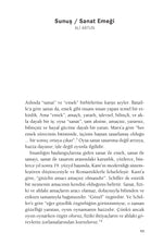 Sanat Emeği - Kültür İşçileri ve Prekarite