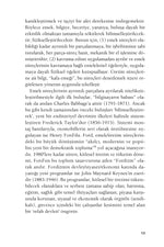 Sanat Emeği - Kültür İşçileri ve Prekarite