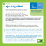 HEY! Hayal Edilebilir Tasarım Kılavuzu (Kitap)