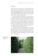 Peyzaj Tasarımı – Temel Kavramlar ve Tasarım İlkeleri