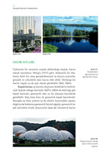 Peyzaj Tasarımı – Temel Kavramlar ve Tasarım İlkeleri