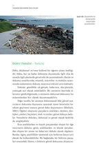 Peyzaj Tasarımı – Temel Kavramlar ve Tasarım İlkeleri