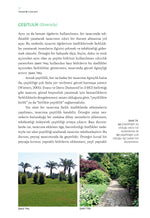 Peyzaj Tasarımı – Temel Kavramlar ve Tasarım İlkeleri