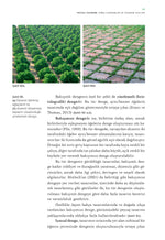 Peyzaj Tasarımı – Temel Kavramlar ve Tasarım İlkeleri