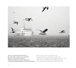 Zemheri İstanbul Midwinter