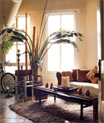 L.A. Lofts