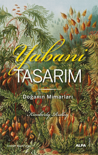 Yabani Tasarım