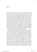 Eşitsiz Gelişim - Doğa, Sermaye ve Mekânın Üretimi