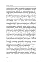 Eşitsiz Gelişim - Doğa, Sermaye ve Mekânın Üretimi