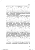 Eşitsiz Gelişim - Doğa, Sermaye ve Mekânın Üretimi