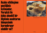 Yerebasan